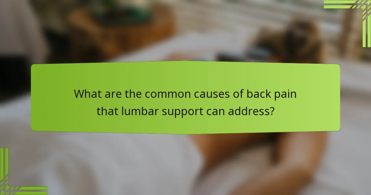 What are the common causes of back pain that lumbar support can address?