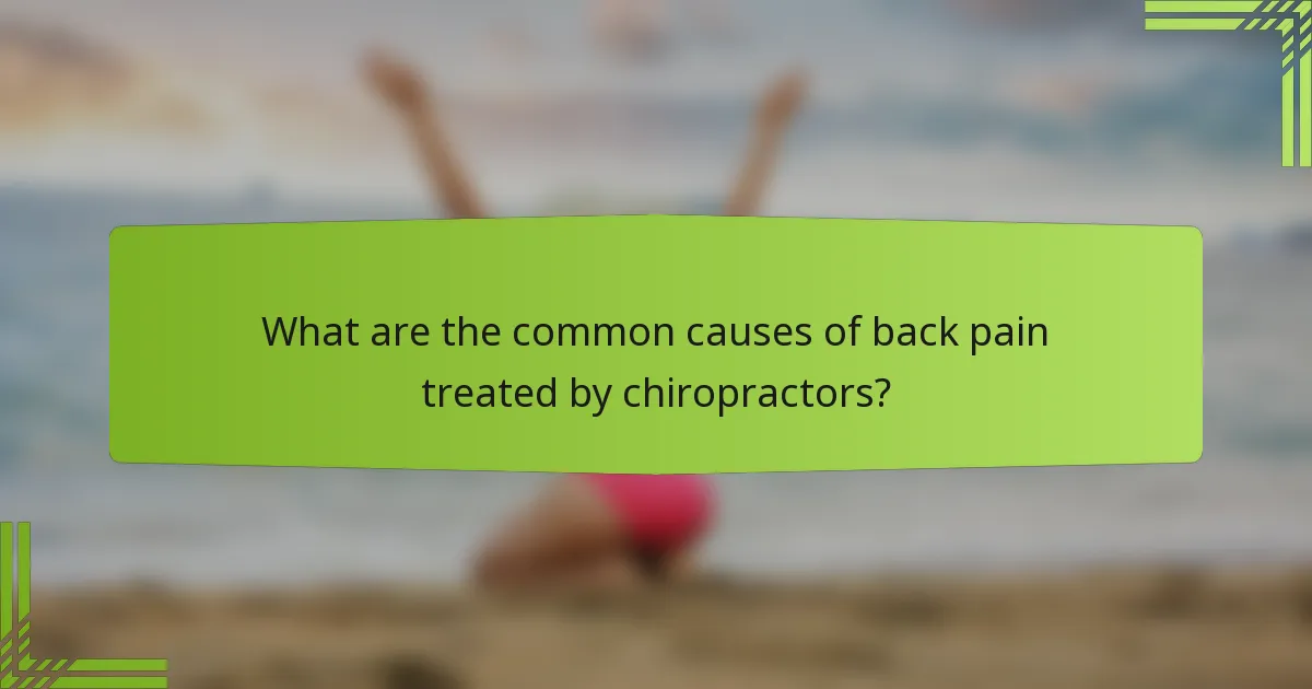 What are the common causes of back pain treated by chiropractors?