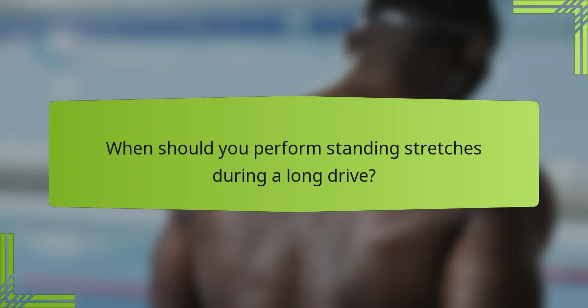 When should you perform standing stretches during a long drive?